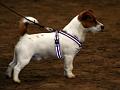 090509_arska