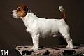 100320_arska