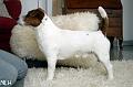 110127_Arska