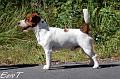 110814_pyry