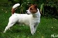 110910_arska