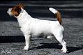 110911_arska