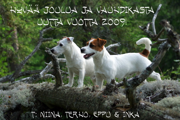 Joulutoivotus.jpg - Joulukortti