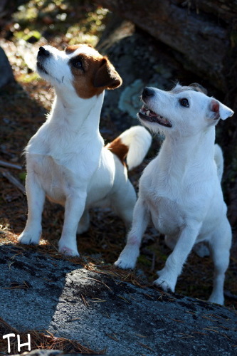 091010_inka&eppu.jpg - Inka & Eppu