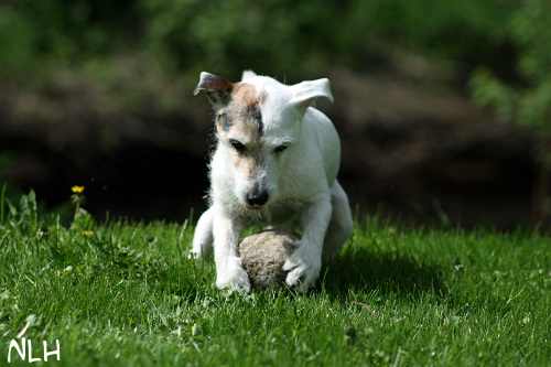120526_eppu3.jpg - Rolling stone