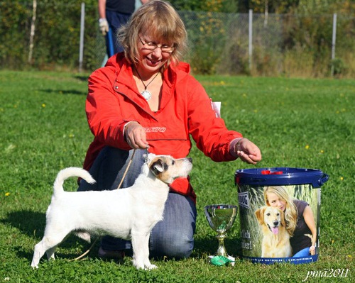 110910_eppu.jpg - Eppu 11 years old :). BIS-VET, BIS4 in Match Show 10.9.2011.