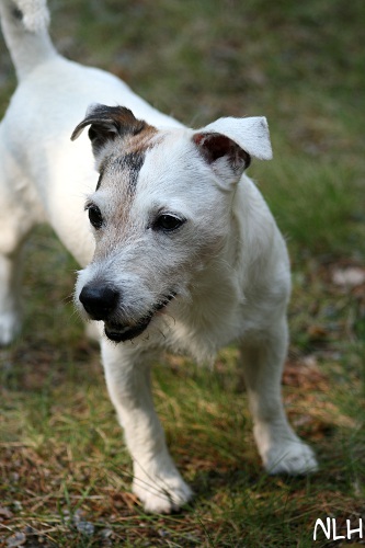 110828_eppu3.jpg - Epuli-Hepuli