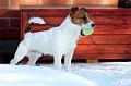 120306_arska4