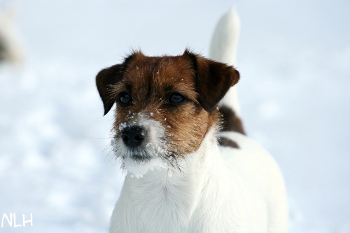 120220_lilli4.jpg - Lilli
