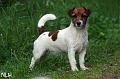 120701_lilli