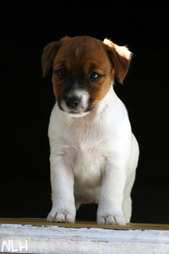 100709_lilli2.jpg - Lilli