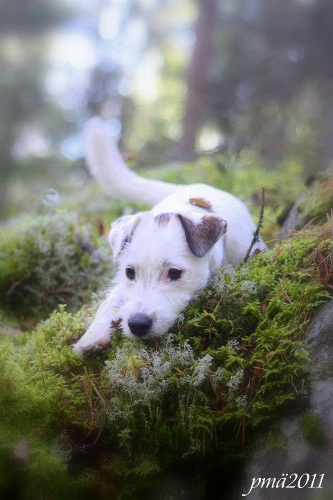 110917_alma.jpg - Charming Alma