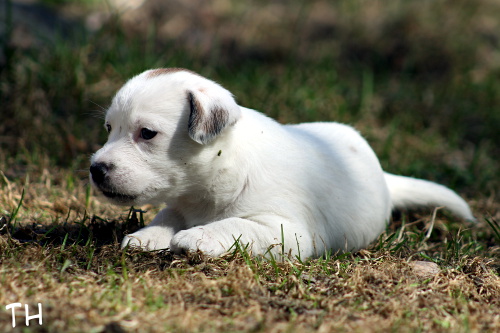 110507_alma3.jpg - Alma