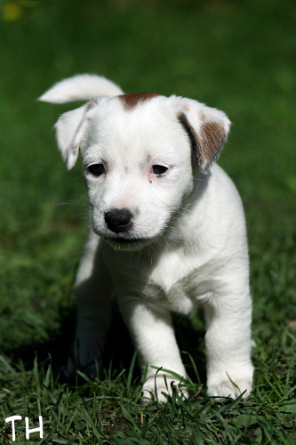 110522_alma2.jpg - Sweet Alma