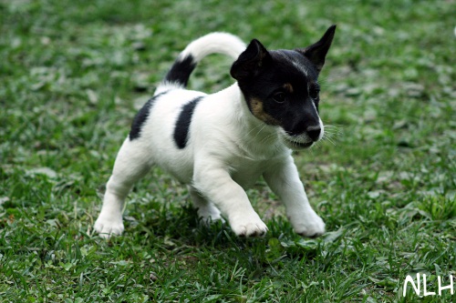 110604_visa2.jpg - Jump