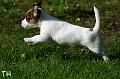 110521_jalo2