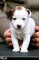 110505_sade2