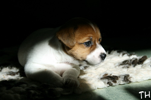 120909_willa.jpg - Willa
