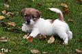 120911_welho3