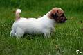 120911_welho5