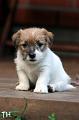 120911_welho6