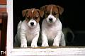 120916_willa&wili