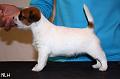 120903_bolt