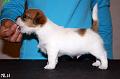 120903_welho