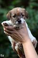 120916_prof2_welho
