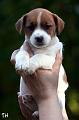 120916_prof2_wili2