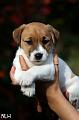 120918_prof_hugo2