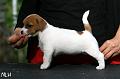 120918_prof_willa1
