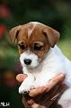 120918_prof_willa2