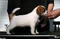 120922_prof_bolt2