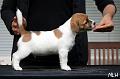 120922_prof_hugo