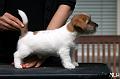 120922_prof_welho2