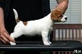 120922_prof_willa2