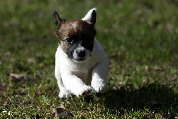 130501_arya2.jpg - Arya