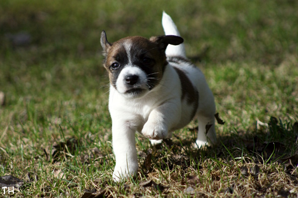 130501_cosmo2.jpg - Cosmo