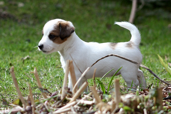 130503_aisla3.jpg - Aisla 6 vkoa