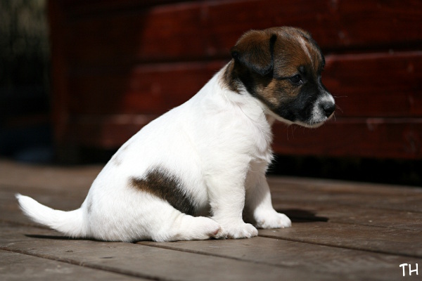 130503_arya.jpg - Arya