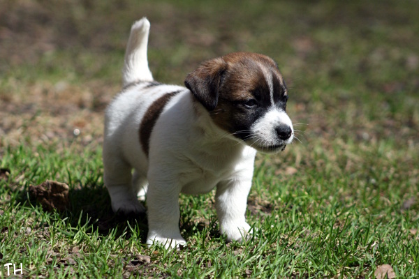 130503_cosmo2.jpg - Cosmo 6 vkoa