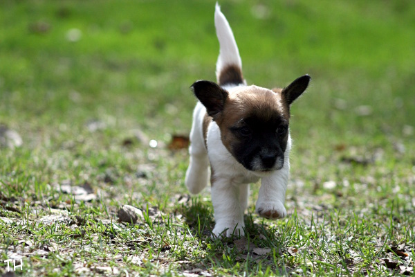 130503_fiona3.jpg - Fiona