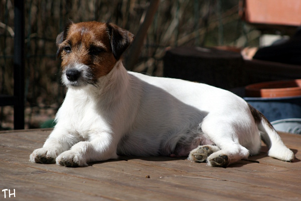 130503_lilli.jpg - Lilli on watch
