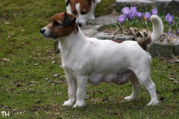 130503_lilli2.jpg - Mom Lilli