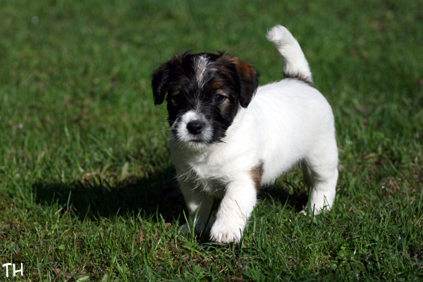 130511_oliver.jpg - Oliver