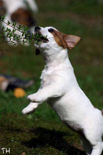 130519_aisla2.jpg - Aisla