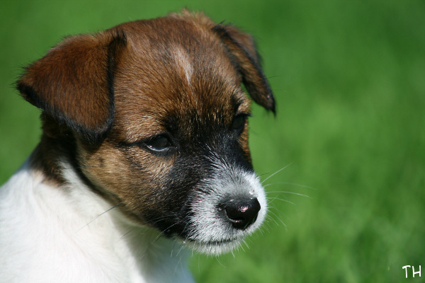 130519_arya.jpg - Arya