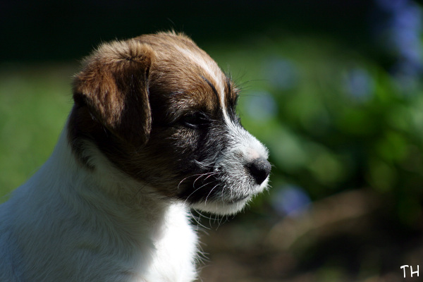 130519_emil2.jpg - Emil
