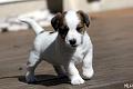 130429_aisla